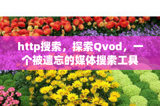 http搜索,探索Qvod,一个被遗忘的媒体搜索工具 http搜索,探索Qvod,一个被遗忘的媒体搜索工具