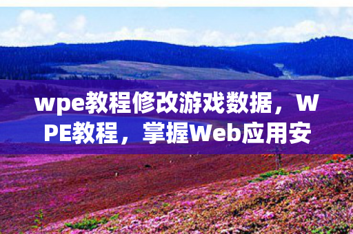 wpe教程修改游戏数据,WPE教程,掌握Web应用安全漏洞利用技巧 wpe教程修改游戏数据,WPE教程,掌握Web应用安全漏洞利用技巧