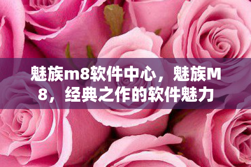 魅族m8软件中心,魅族M8,经典之作的软件魅力 魅族m8软件中心,魅族M8,经典之作的软件魅力