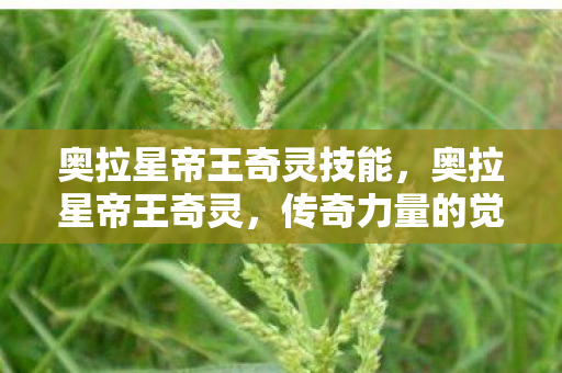 奥拉星帝王奇灵技能，奥拉星帝王奇灵，传奇力量的觉醒