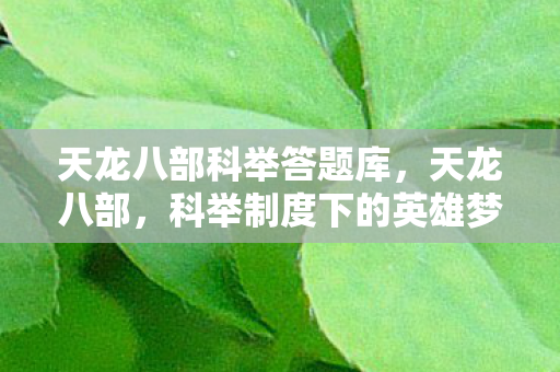 天龙八部科举答题库，天龙八部，科举制度下的英雄梦工场