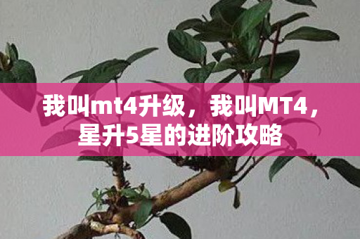 我叫mt4升级，我叫MT4，星升5星的进阶攻略