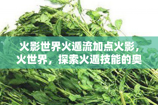 火影世界火遁流加点火影，火世界，探索火遁技能的奥秘