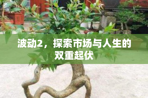 波动2,探索市场与人生的双重起伏 波动2,探索市场与人生的双重起伏