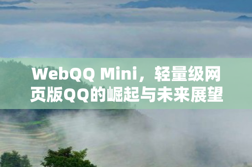 WebQQ Mini,轻量级网页版QQ的崛起与未来展望 WebQQ Mini,轻量级网页版QQ的崛起与未来展望