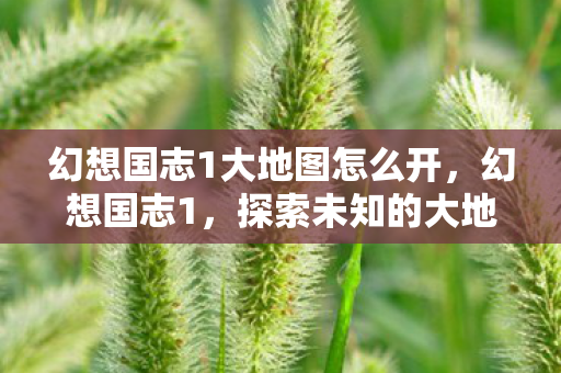 幻想国志1大地图怎么开,幻想国志1,探索未知的大地图 幻想国志1大地图怎么开,幻想国志1,探索未知的大地图