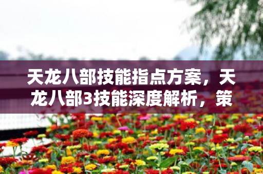 天龙八部技能指点方案，天龙八部3技能深度解析，策略、搭配与实战应用