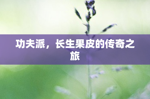 功夫派,长生果皮的传奇之旅 功夫派,长生果皮的传奇之旅