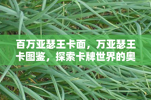 探索卡牌世界的奥秘图片