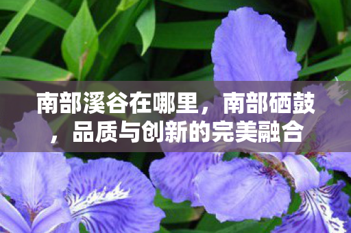 品质与创新的完美融合图片