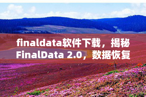 finaldata软件下载图片