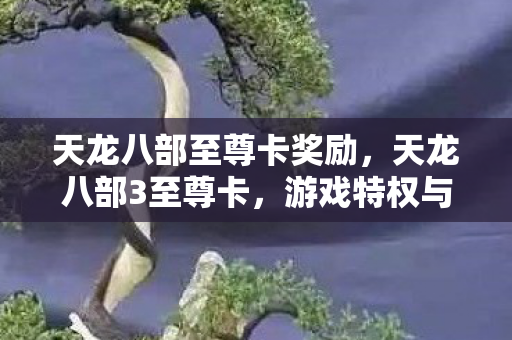 天龙八部至尊卡奖励，天龙八部3至尊卡，游戏特权与尊贵体验的深度解析