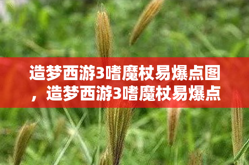 造梦西游3嗜魔杖易爆点揭秘图片