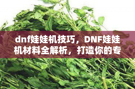 DNF娃娃机材料全解析图片