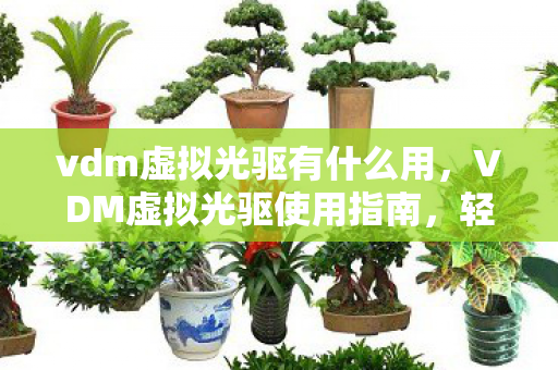 vdm虚拟光驱有什么用图片