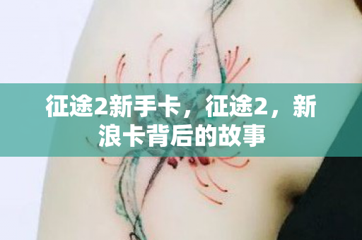 新浪卡背后的故事图片