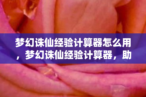 梦幻诛仙经验计算器怎么用，梦幻诛仙经验计算器，助力你的游戏成长