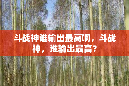 斗战神谁输出最高啊图片