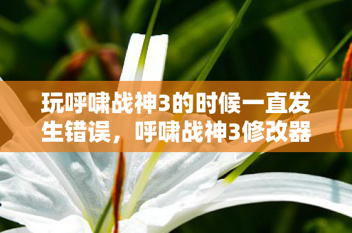 玩呼啸战神3的时候一直发生错误,呼啸战神3修改器,解锁无限可能的战斗艺术 玩呼啸战神3的时候一直发生错误,呼啸战神3修改器,解锁无限可能的战斗艺术