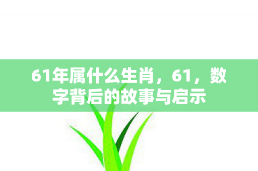 61年属什么生肖,61,数字背后的故事与启示 61年属什么生肖,61,数字背后的故事与启示