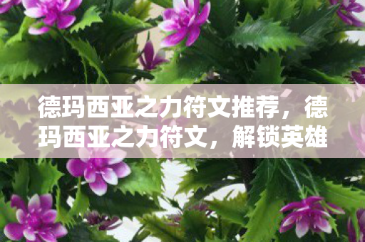 德玛西亚之力符文推荐,德玛西亚之力符文,解锁英雄联盟中的力量与荣耀 德玛西亚之力符文推荐,德玛西亚之力符文,解锁英雄联盟中的力量与荣耀