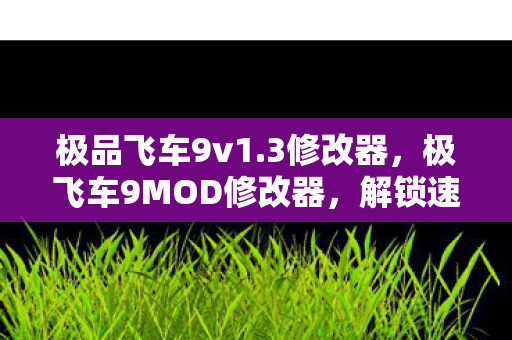 极品飞车9v1.3修改器，极飞车9MOD修改器，解锁速度与激情的无限可能