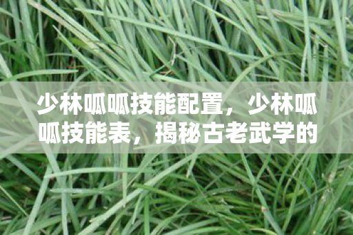 少林呱呱技能配置,少林呱呱技能表,揭秘古老武学的奥秘 少林呱呱技能配置,少林呱呱技能表,揭秘古老武学的奥秘