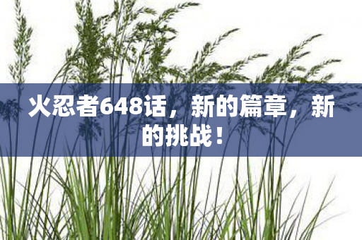 火忍者648话,新的篇章,新的挑战! 火忍者648话,新的篇章,新的挑战!