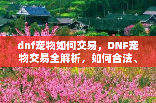 dnf宠物如何交易,DNF宠物交易全解析,如何合法、安全地交易宠物 dnf宠物如何交易,DNF宠物交易全解析,如何合法、安全地交易宠物
