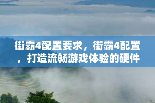 街霸4配置要求,街霸4配置,打造流畅游戏体验的硬件指南 街霸4配置要求,街霸4配置,打造流畅游戏体验的硬件指南