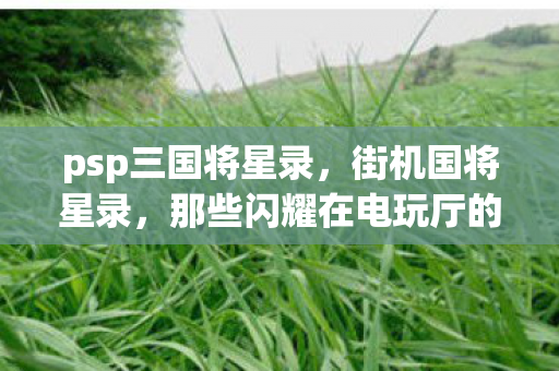 psp三国将星录，街机国将星录，那些闪耀在电玩厅的传奇人物