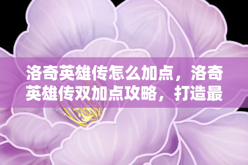 洛奇英雄传怎么加点,洛奇英雄传双加点攻略,打造最强角色的双重策略 洛奇英雄传怎么加点,洛奇英雄传双加点攻略,打造最强角色的双重策略