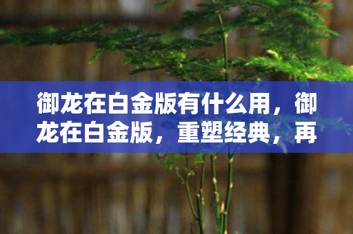 御龙在白金版有什么用，御龙在白金版，重塑经典，再续传奇