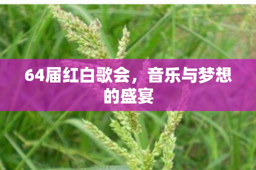 64届红白歌会，音乐与梦想的盛宴