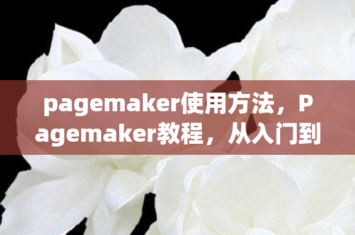 pagemaker使用方法，Pagemaker教程，从入门到精通的排版设计指南