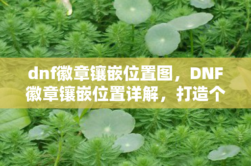 dnf徽章镶嵌位置图,DNF徽章镶嵌位置详解,打造个性化角色,提升战斗力的关键一步 dnf徽章镶嵌位置图,DNF徽章镶嵌位置详解,打造个性化角色,提升战斗力的关键一步