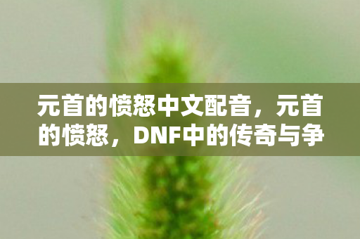 元首的愤怒中文配音，元首的愤怒，DNF中的传奇与争议