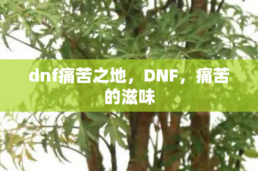 dnf痛苦之地,DNF,痛苦的滋味 dnf痛苦之地,DNF,痛苦的滋味