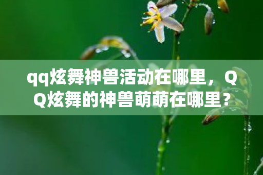 qq炫舞神兽活动在哪里,QQ炫舞的神兽萌萌在哪里? qq炫舞神兽活动在哪里,QQ炫舞的神兽萌萌在哪里?