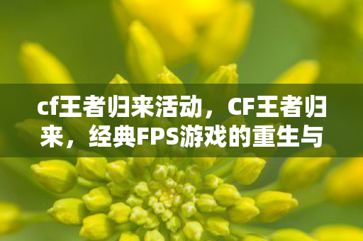 cf王者归来活动,CF王者归来,经典FPS游戏的重生与未来 cf王者归来活动,CF王者归来,经典FPS游戏的重生与未来