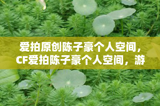 爱拍原创陈子豪个人空间,CF爱拍陈子豪个人空间,游戏高手的传奇之路 爱拍原创陈子豪个人空间,CF爱拍陈子豪个人空间,游戏高手的传奇之路