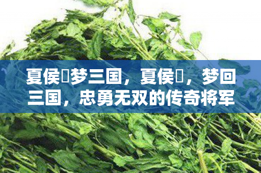 夏侯惇梦三国，夏侯惇，梦回三国，忠勇无双的传奇将军