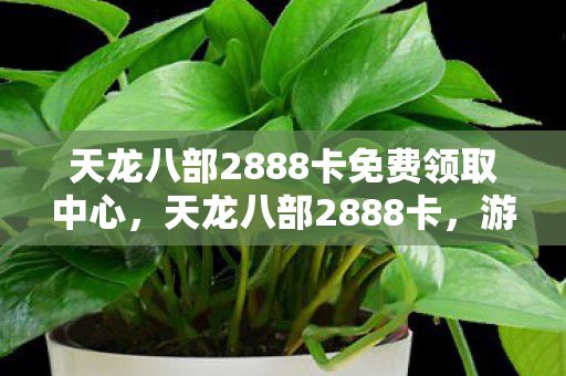 天龙八部2888卡免费领取中心，天龙八部2888卡，游戏玩家的福音与福利的新篇章
