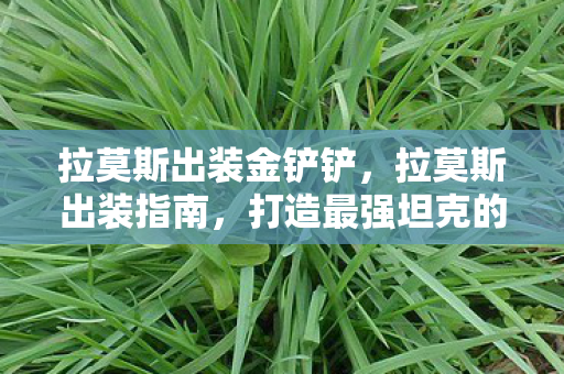 拉莫斯出装金铲铲,拉莫斯出装指南,打造最强坦克的秘诀 拉莫斯出装金铲铲,拉莫斯出装指南,打造最强坦克的秘诀