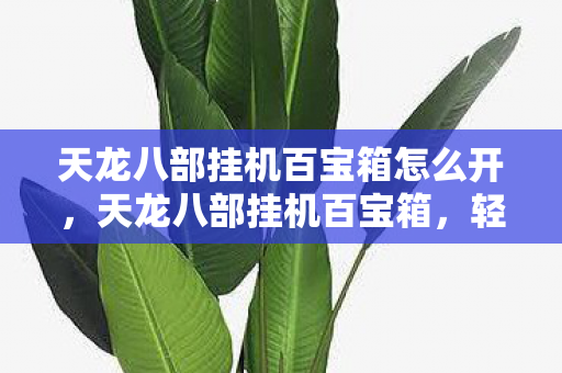 天龙八部挂机百宝箱怎么开，天龙八部挂机百宝箱，轻松游戏，高效升级