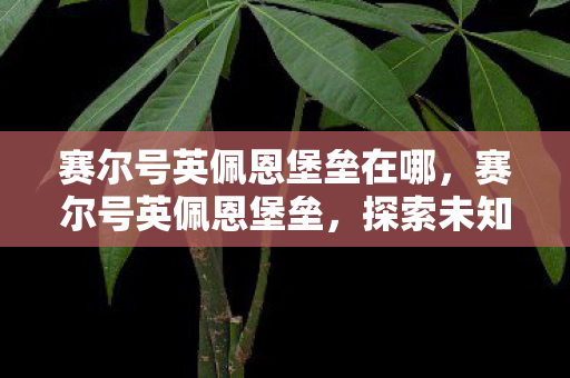 赛尔号英佩恩堡垒在哪，赛尔号英佩恩堡垒，探索未知世界的奇幻之旅