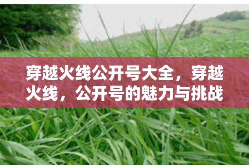 穿越火线公开号大全,穿越火线,公开号的魅力与挑战 穿越火线公开号大全,穿越火线,公开号的魅力与挑战