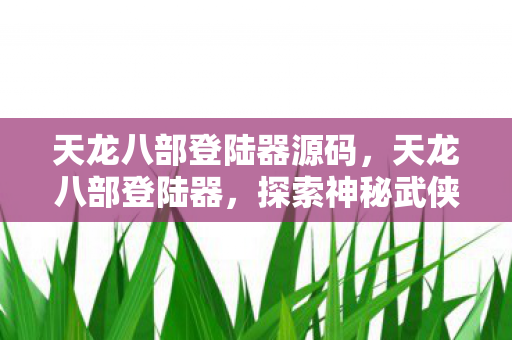 天龙八部登陆器源码，天龙八部登陆器，探索神秘武侠世界的门户