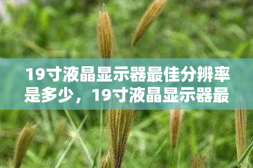 19寸液晶显示器最佳分辨率是多少，19寸液晶显示器最佳分辨率全解析