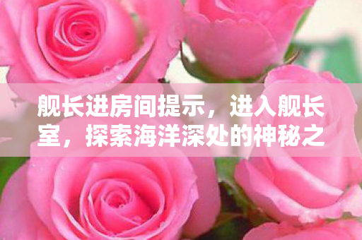 舰长进房间提示,进入舰长室,探索海洋深处的神秘之旅 舰长进房间提示,进入舰长室,探索海洋深处的神秘之旅